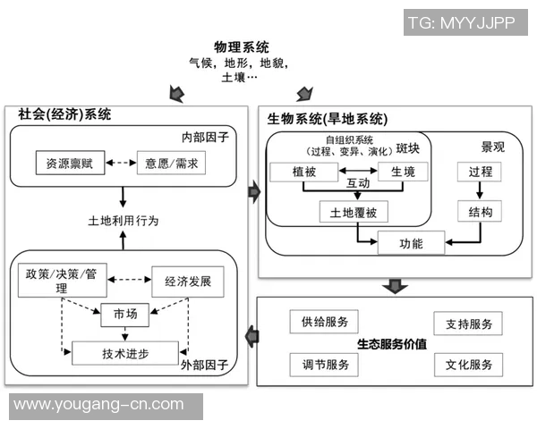 上海极限运动队快攻策略分析与表现评估探讨