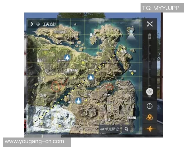 揭秘和平精英成功背后的故事与杨敏的独特见解